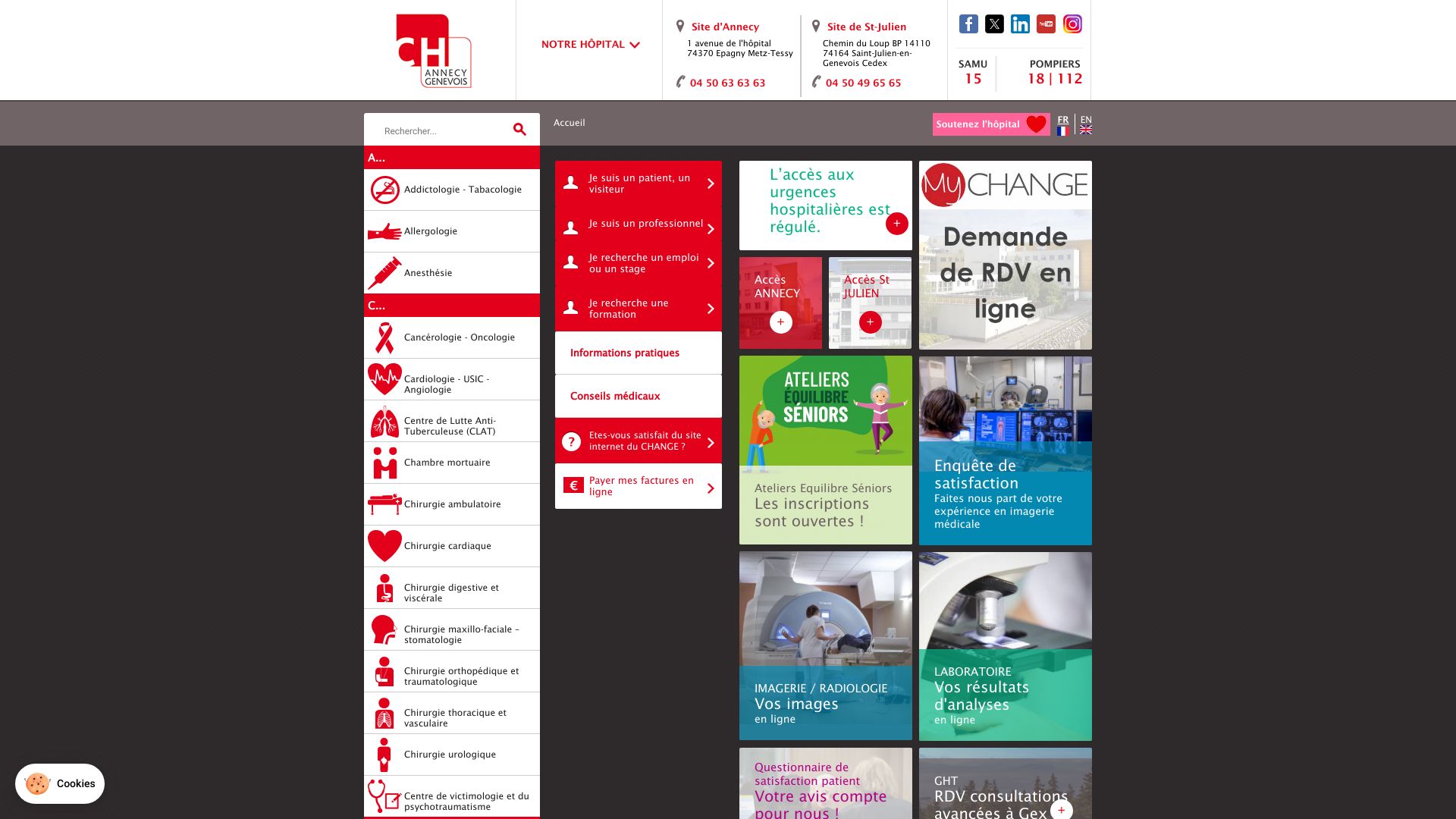 Screenshot of www_ch-annecygenevois_fr